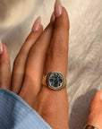 UNDER THREE FISH I CONTEMPLATED MY NEXT STEPS // VINTAGE HERALDIC INTAGLIO BLOODSTONE SIGNET