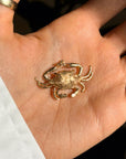 BE GENTLE WITH ME, I'M SOFTER THAN I SEEM // CANCER CRAB GOLD CHARM