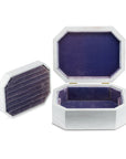 THE MOONSTONED MINI TRUNK