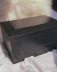 THE MOONSTONED TREASURE TRUNK