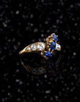 THE ORION RING