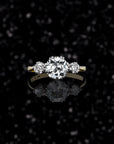 THE ANTIQUE ENGAGEMENT RING