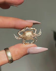 BE GENTLE WITH ME, I'M SOFTER THAN I SEEM // CANCER CRAB GOLD CHARM