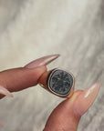 UNDER THREE FISH I CONTEMPLATED MY NEXT STEPS // VINTAGE HERALDIC INTAGLIO BLOODSTONE SIGNET