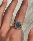 UNDER THREE FISH I CONTEMPLATED MY NEXT STEPS // VINTAGE HERALDIC INTAGLIO BLOODSTONE SIGNET