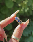 SPEAK TO ME OF FLOWERS THAT WILL BLOOM AGAIN IN SPRING // VICTORIAN SAPPHIRE AND DIAMOND 5 STONE RING