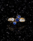 THE ORION RING